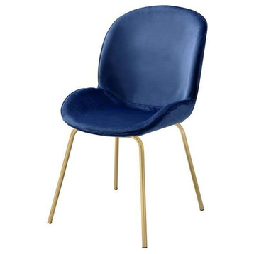 ACME Chuchip Velvet Upholstered Side Chair in Blue and Gold