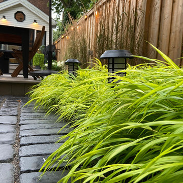 East Danforth Backyard Makeover