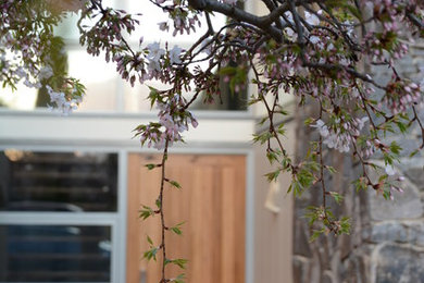 Inspiration for a large modern entryway in Canberra - Queanbeyan with a pivot front door and a light wood front door.