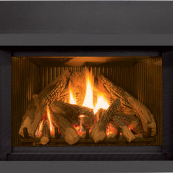 Enviro E30 Gas Fireplace Insert - Products