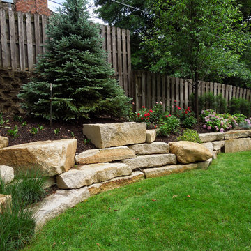 Complete Backyard Re-Do