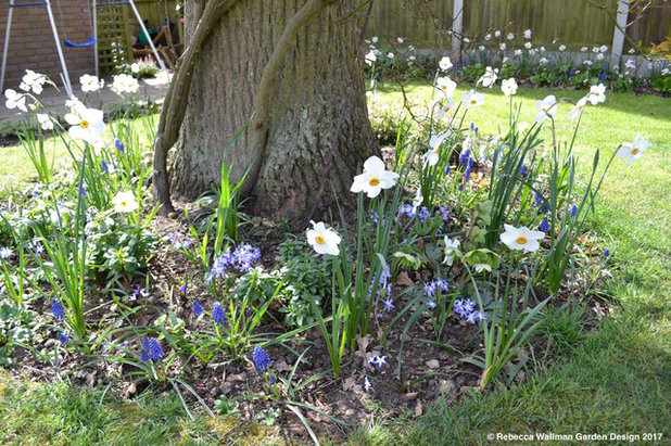 Классический Сад by Rebecca Wallman Garden Design