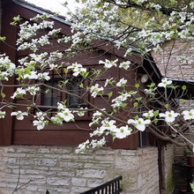 Z Landscape / Garden