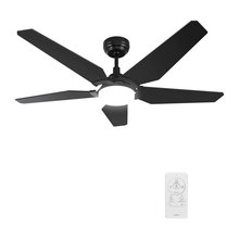 CeilingFan