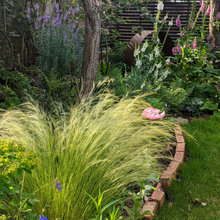 Claylands Garden