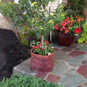 Container Gardens