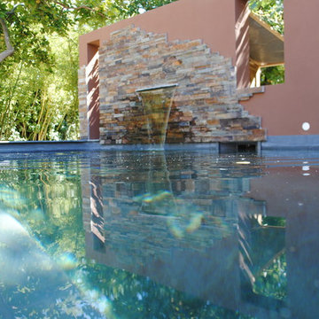 Une Piscine Biologique en ville