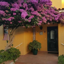 landscape ideas