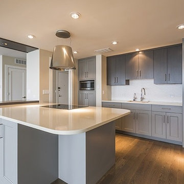 Chicago Lake Shore Drive Condo Renovation