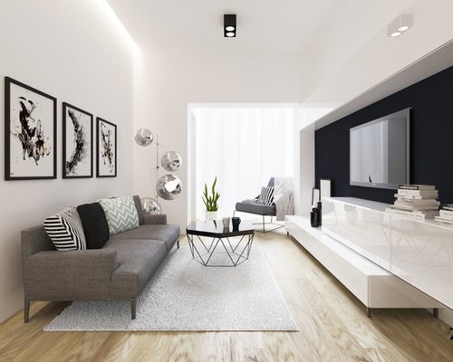 Best Modern Living Room Design Ideas & Remodel Pictures | Houzz  
