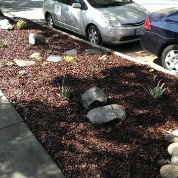 Natural, Drought Tolerant Parkway