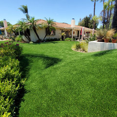 Home Turf Synthetic Grass