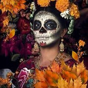 Carmen FDominguez's photo
