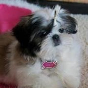 Caroline Masbate's photo