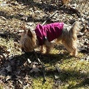 Bob Stauffer's photo