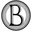 Burg Homes LLC