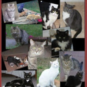 Mary Comfort's photo