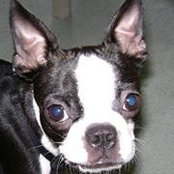 Gayle Avero's photo