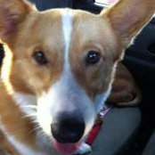 Cathy Vaughan's photo