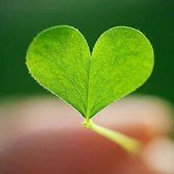 Doaa Emad's photo