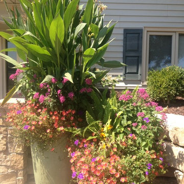 Summer Containers