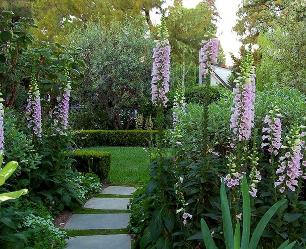 Mediterranean Landscape by {environmental concept}