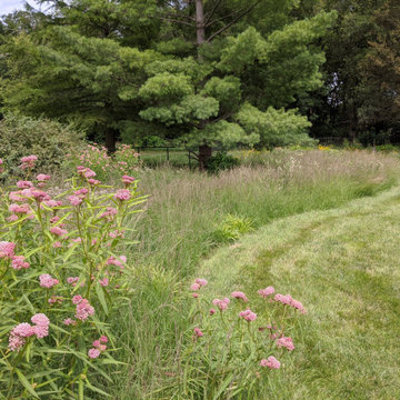 Border Garden