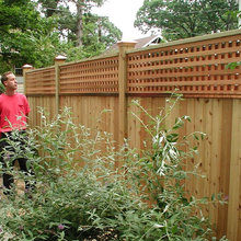 Fence