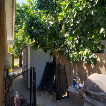 Backyard clean up and remodel