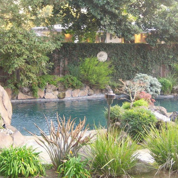 Lagoon Styles Pools and Features