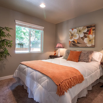 Turtle Creek | Modern Tiny Homes