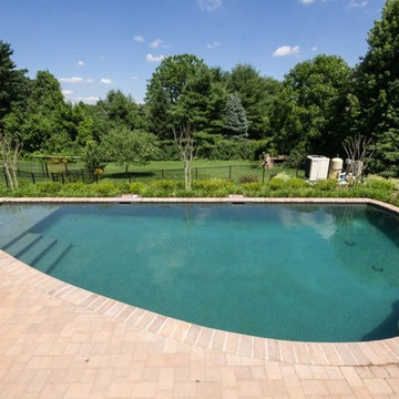 Curved Pool