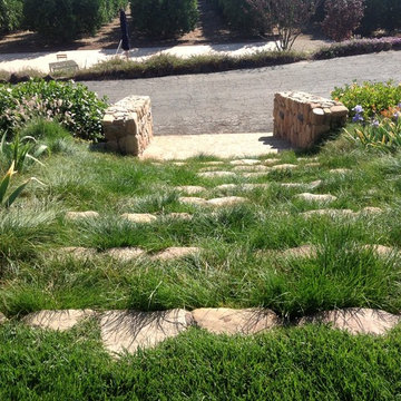 various photos