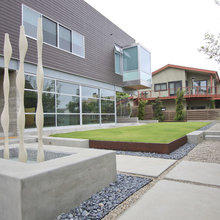 Backyard and driveway