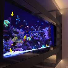 aquarium