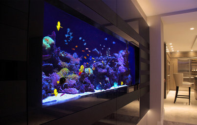 13 of the Best Home Aquarium Designs on Houzz