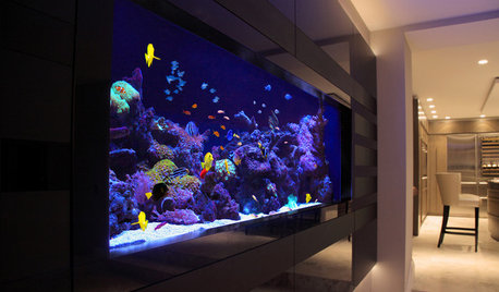 13 of the Best Home Aquarium Designs on Houzz