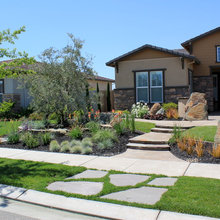 Front yard
