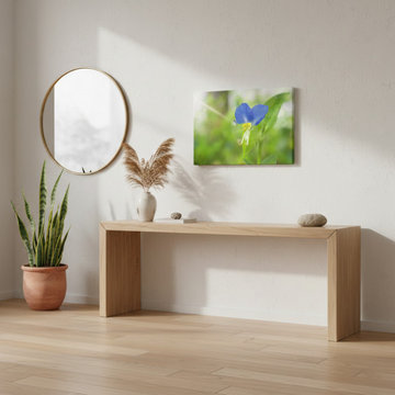 Asiatic Dayflower Modern Organic Style Wall Art