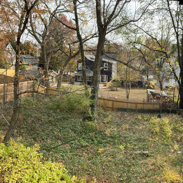 Native Landscape Restoration & Invasive Removal