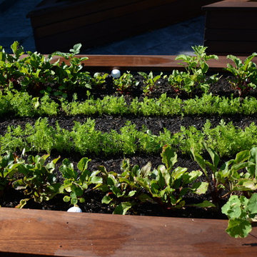 Raised Vegetable / Ornamental Garden 2015
