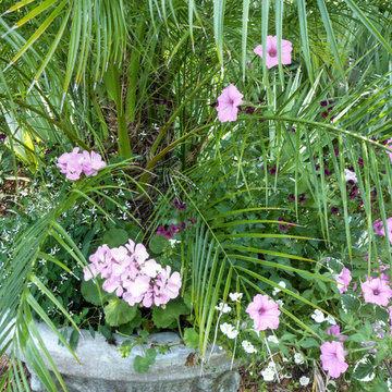 Saint Simons Island Home