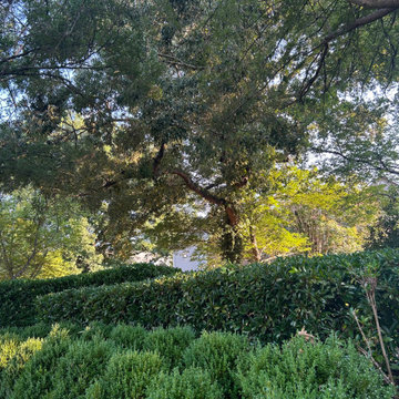 Professional Outdoor Landscaping & Property Maintenance