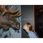 Monika Fuhrmann's photo