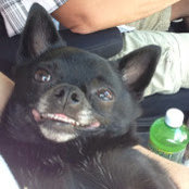 Foto von Audra Jensen
