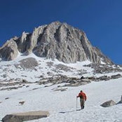 Roger Lees's photo