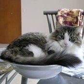 Darlene Nelson's photo