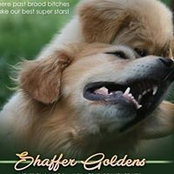 Foto de Lolita Shaffer
