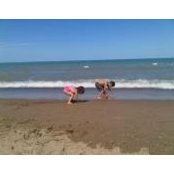 Colleen Groves's photo