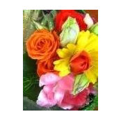 Anna Pohl's photo